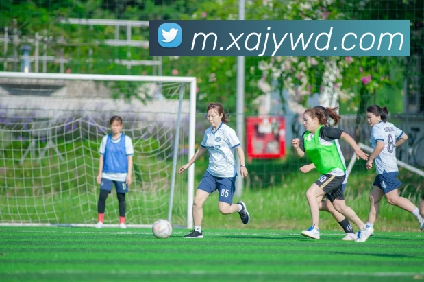 App Interface Preview