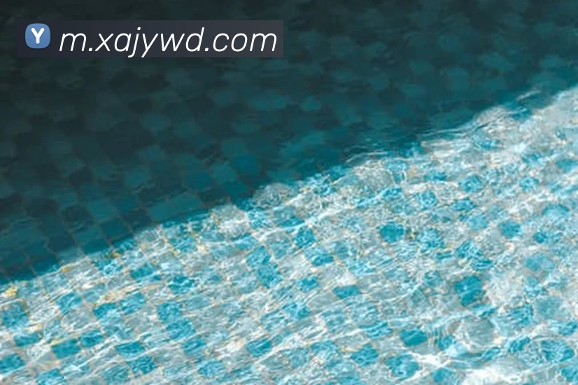 问鼎28APP 封面图